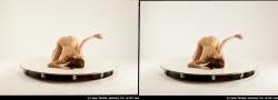 Nude Woman White Kneeling poses - ALL Slim long brown 3D Stereoscopic poses Pinup